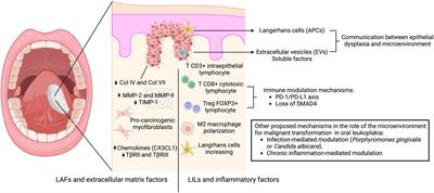 New insights into the role of the oral leukoplakia microenvironment in malignant transformation